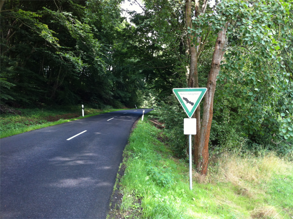 Kierlingsweg oberhalb Obermaubach